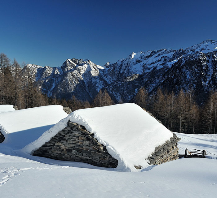 全景东北+内蒙：吉林-魔界-大美长白-镜泊湖-哈尔滨满洲里-海拉尔呼伦贝尔草原s